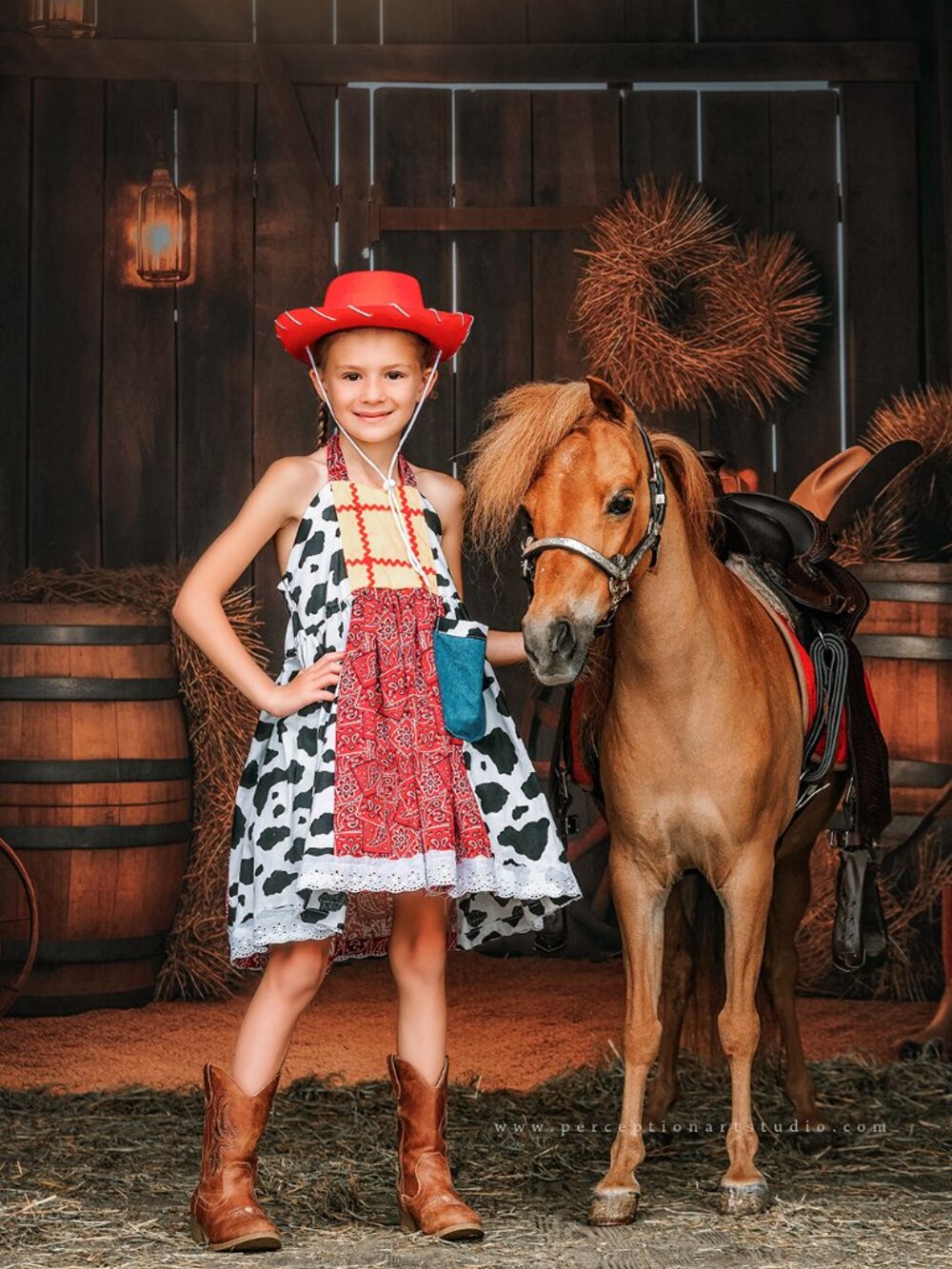 Boutique Toy Story Dress, size 7, Woody inspired